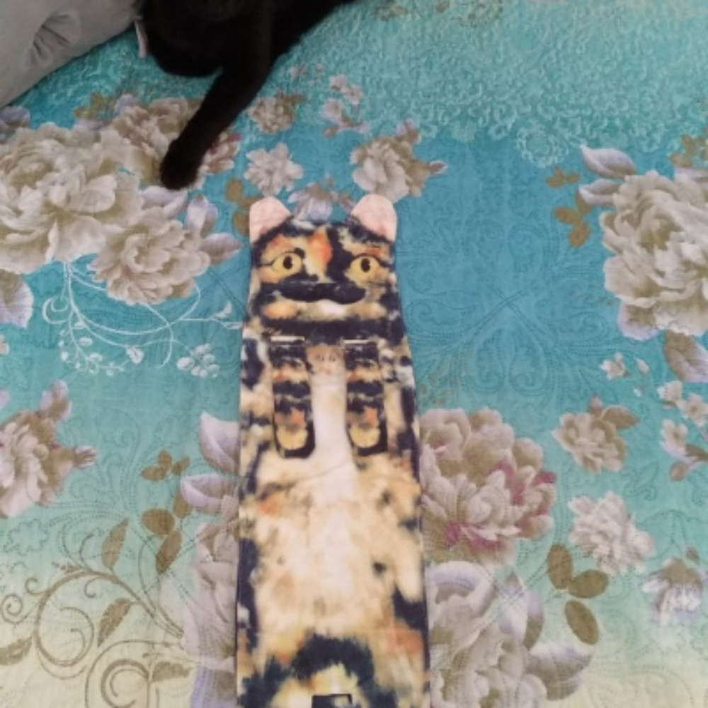 Niedlichkeitsalarm Katzenhandtücher für Bad und Küche