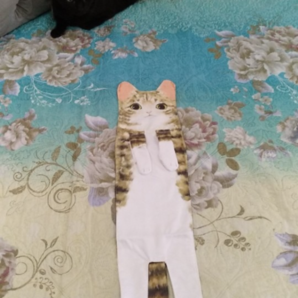 Niedlichkeitsalarm Katzenhandtücher für Bad und Küche
