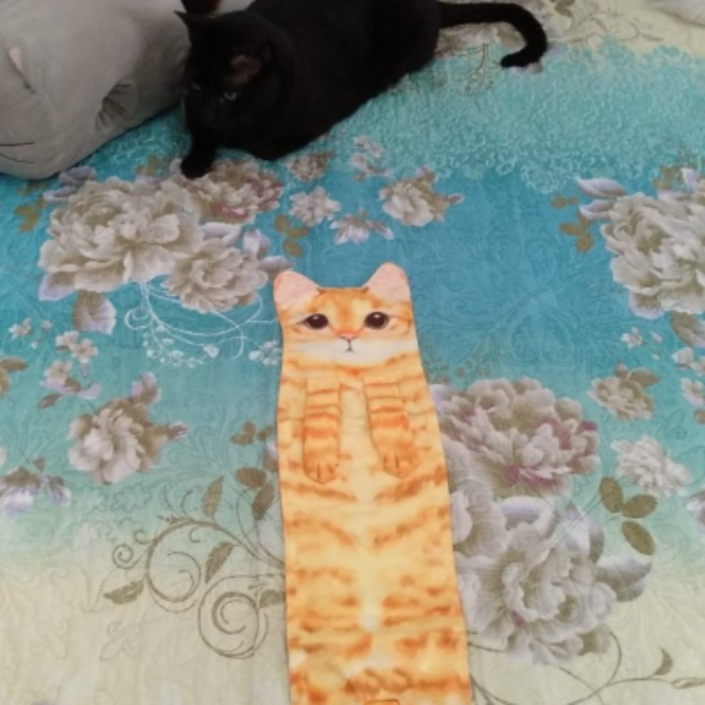 Niedlichkeitsalarm Katzenhandtücher für Bad und Küche