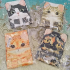 Niedlichkeitsalarm Katzenhandtücher für Bad und Küche